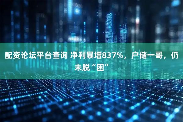 配资论坛平台查询 净利暴增837%,户储一哥,仍未脱“困”