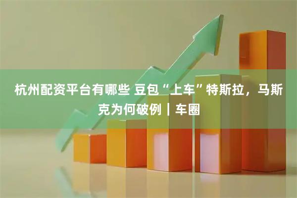 杭州配资平台有哪些 豆包“上车”特斯拉,马斯克为何破例|车圈